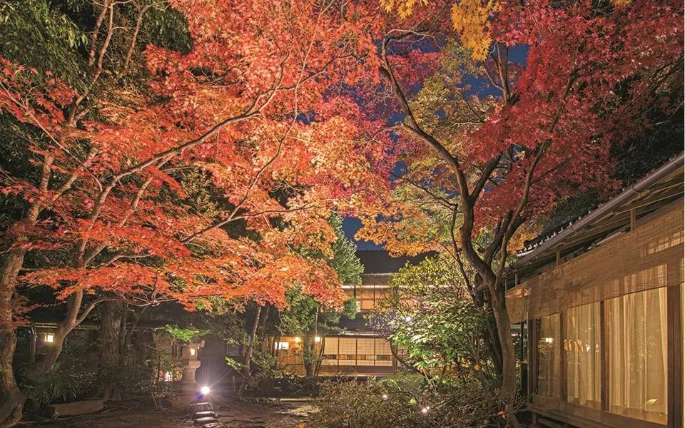 料亭山屋の撮影スポット7