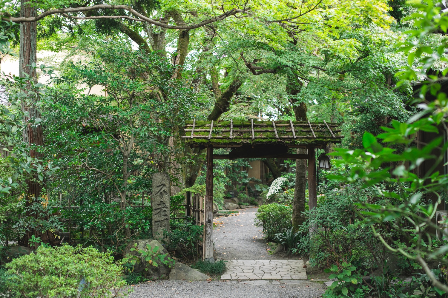 山ばな 平八茶屋の撮影スポット12