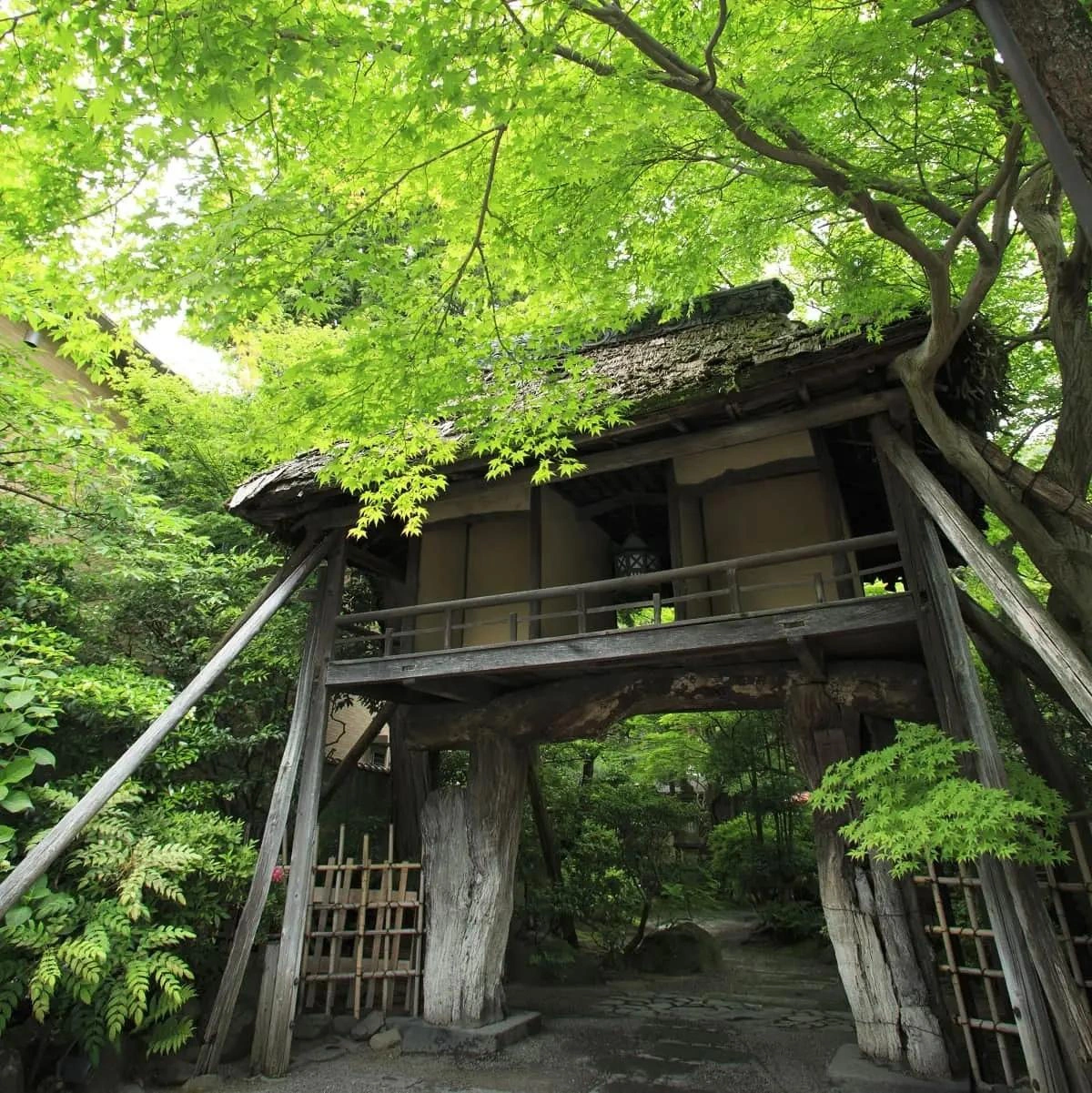 山ばな 平八茶屋の撮影スポット16