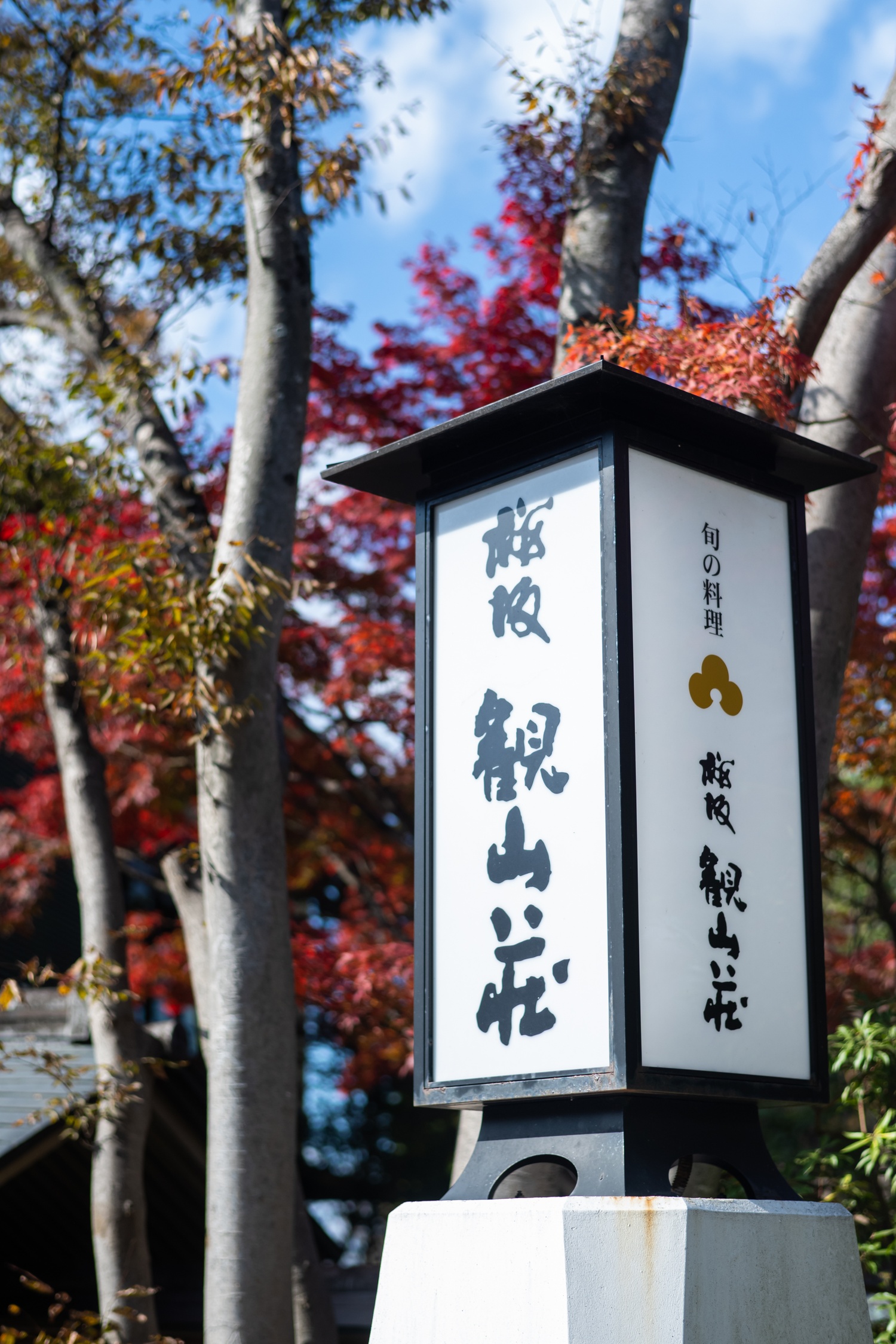 桜坂 観山荘の撮影スポット10