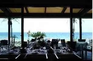 PALM BEACH サムネイル2