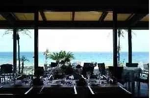 PALM BEACH サムネイル2