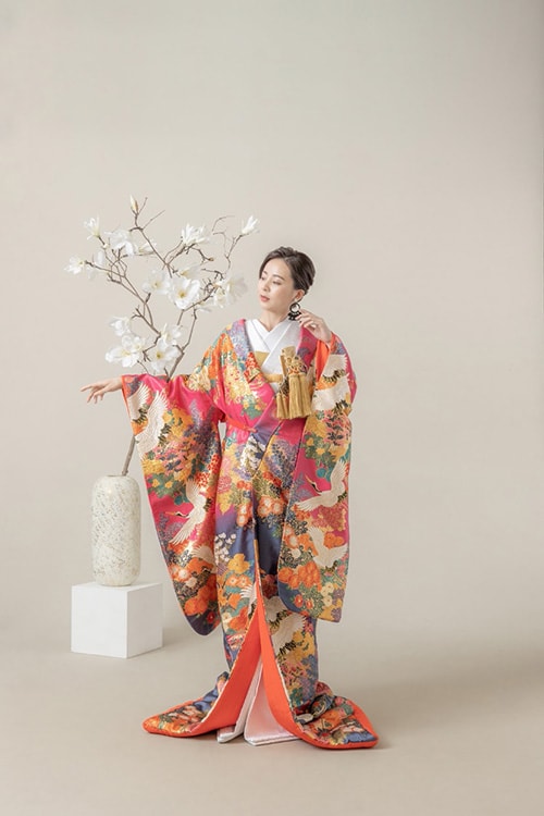 小菊鶴