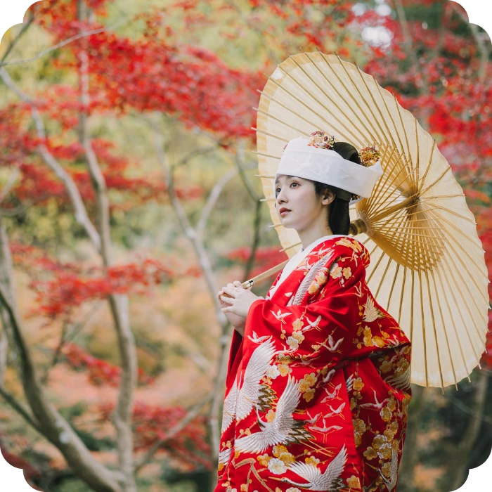 衣装一覧