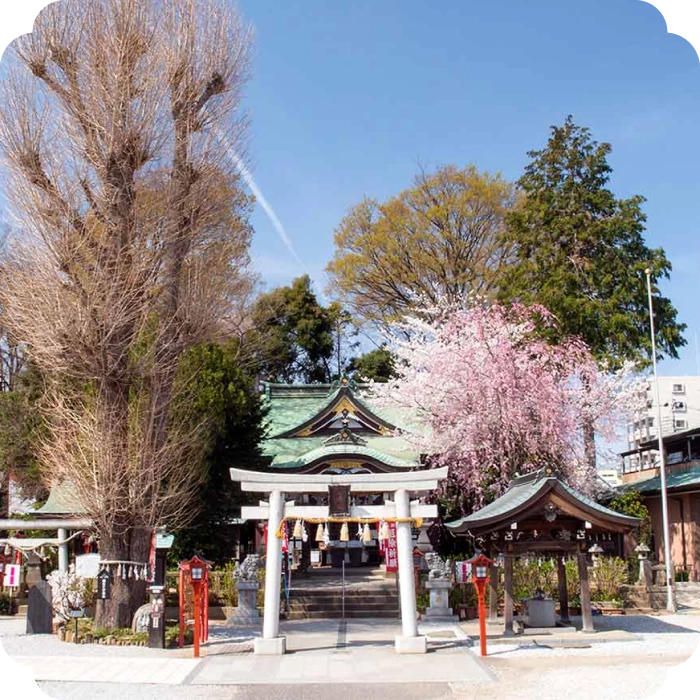 埼玉周辺の神社・仏閣一覧