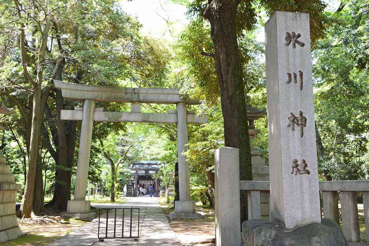 赤坂氷川神社のサブ画像2