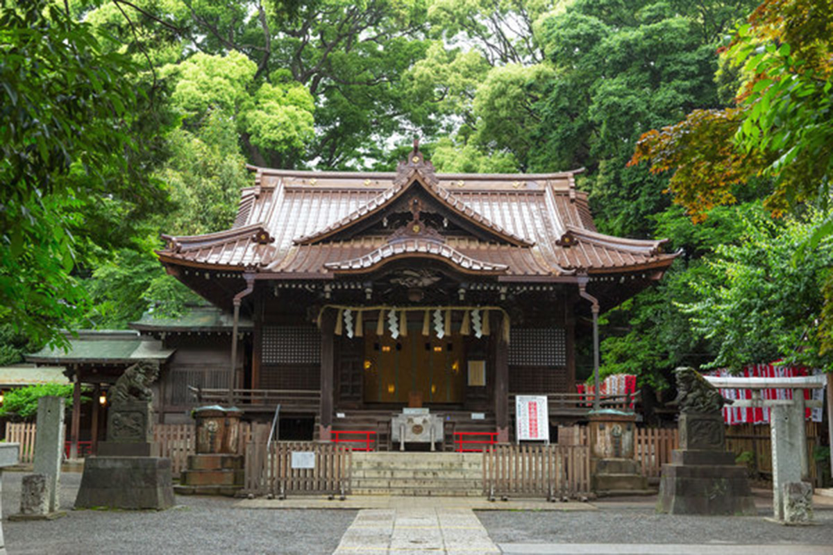 代々木八幡宮のメイン画像