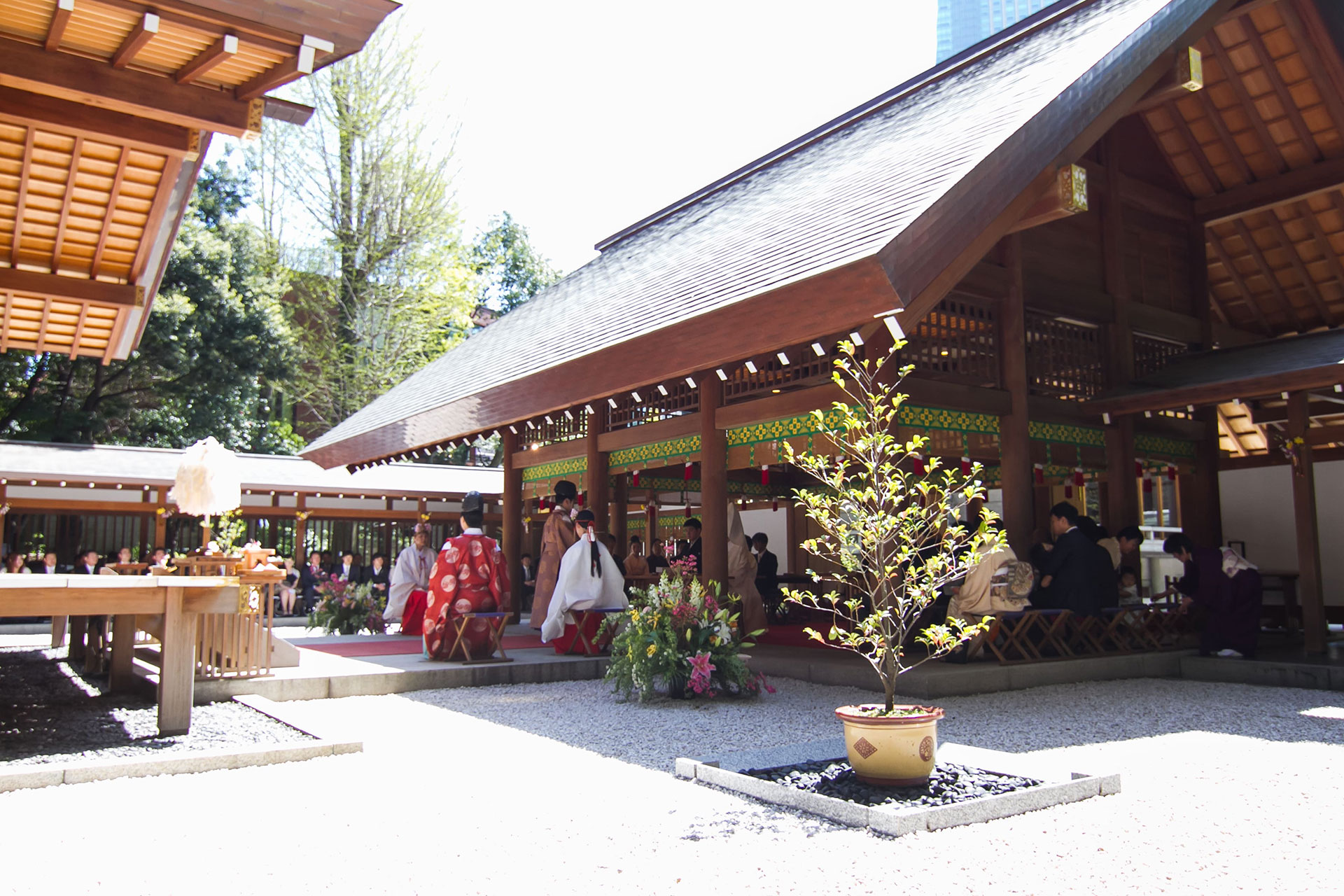乃木神社 サムネイル4