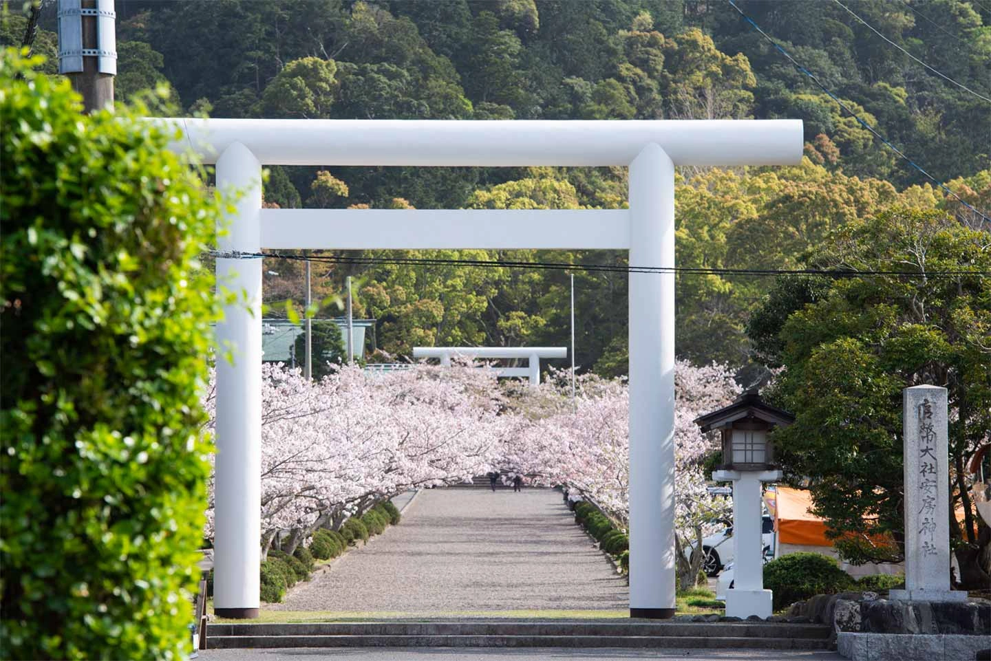 安房神社のサブ画像2