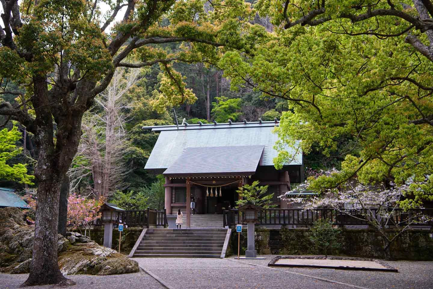 安房神社のサブ画像4