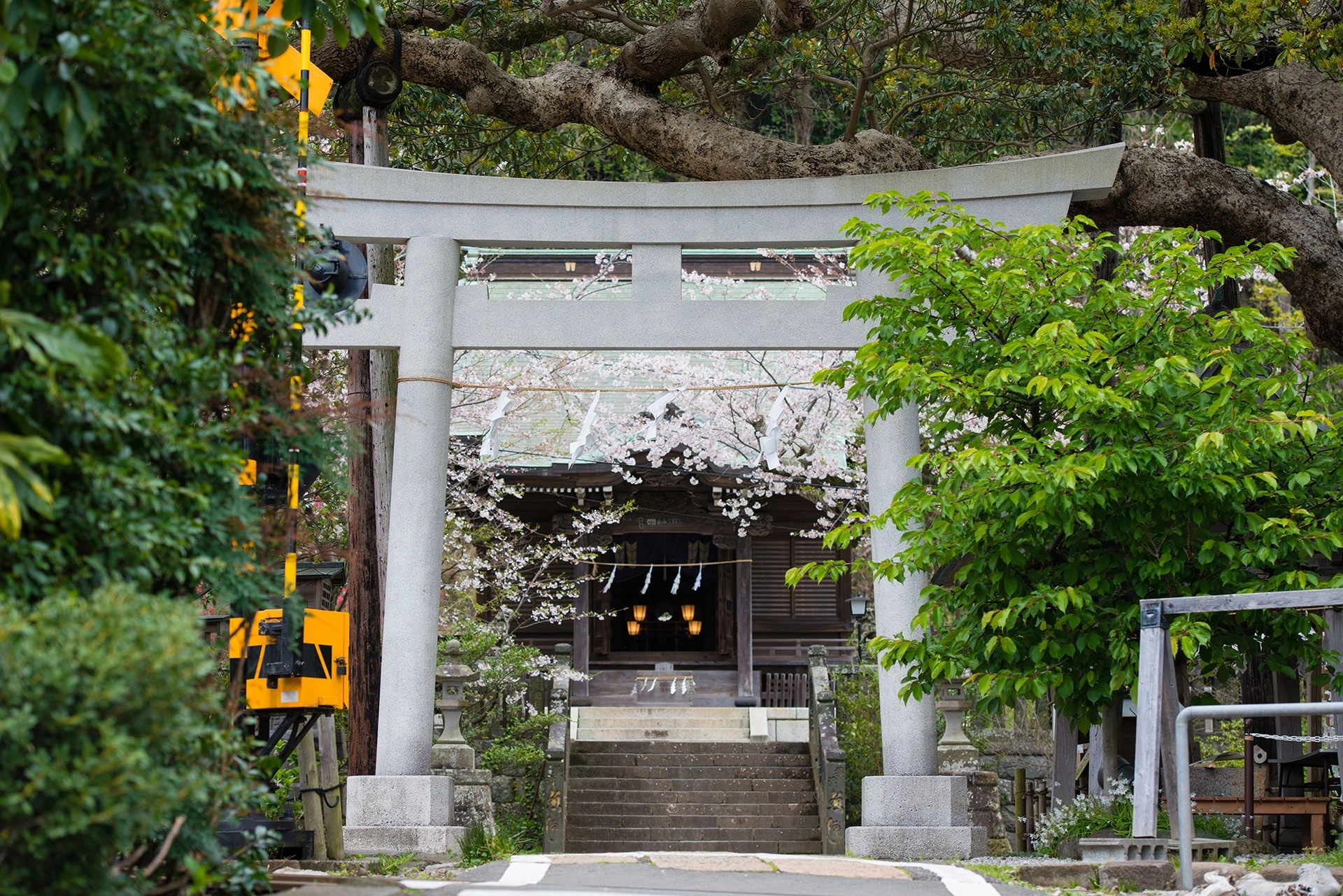 歴史ある観光地で叶える特別な神前式