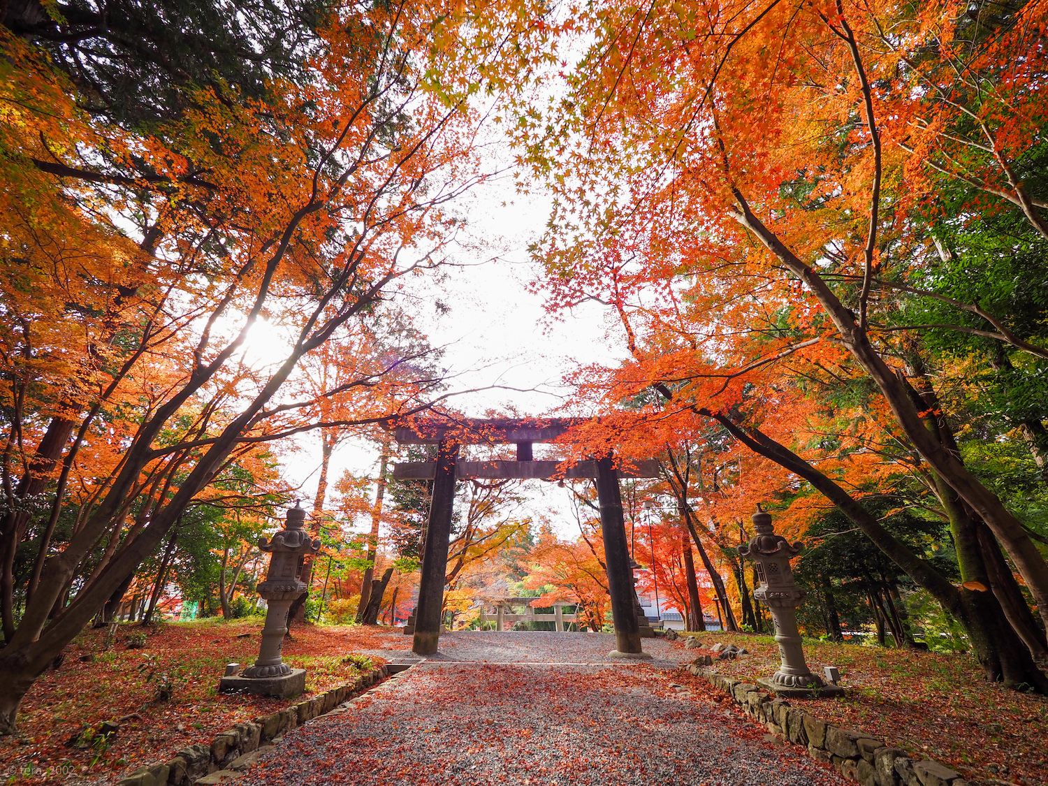 大原野神社 サムネイル4