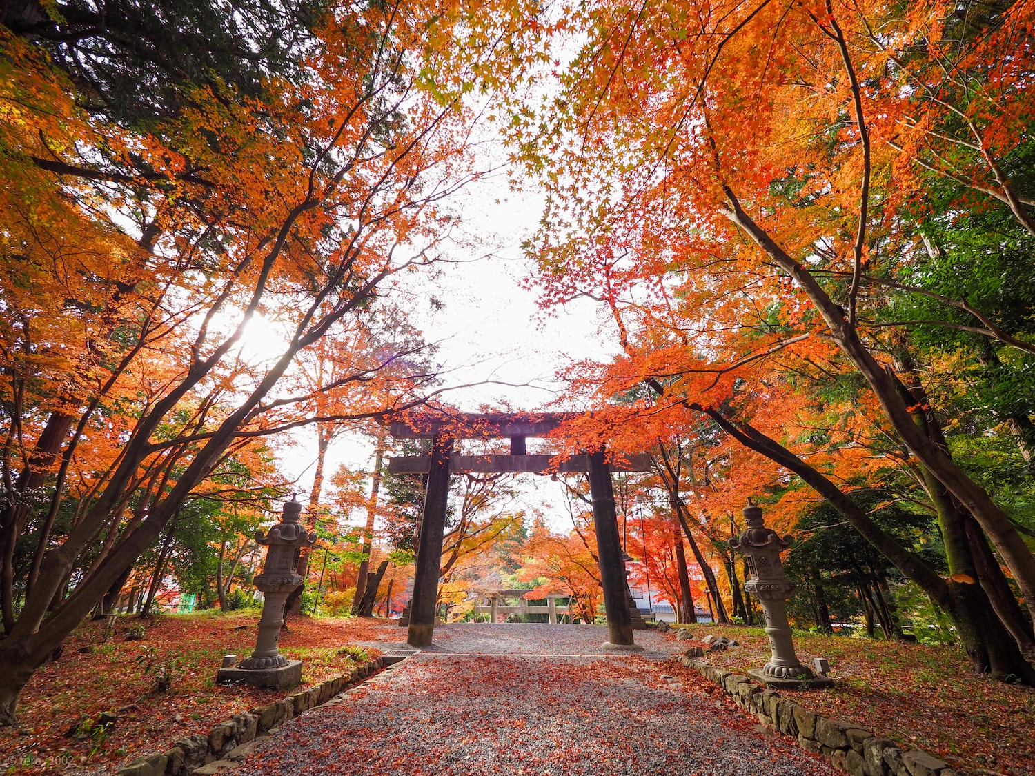 大原野神社 サムネイル4