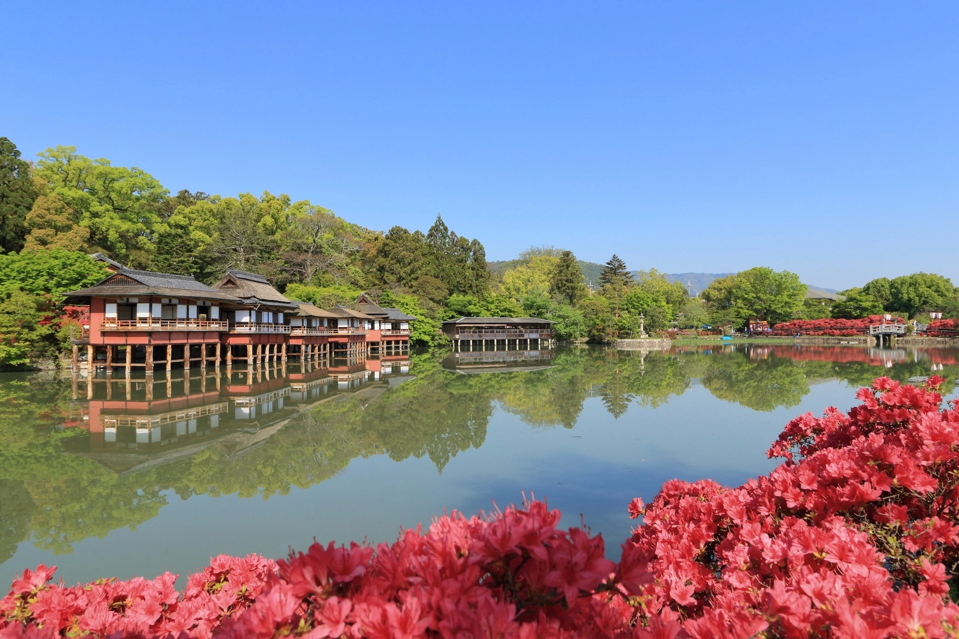 四季折々の風景が彩る紅葉の名所