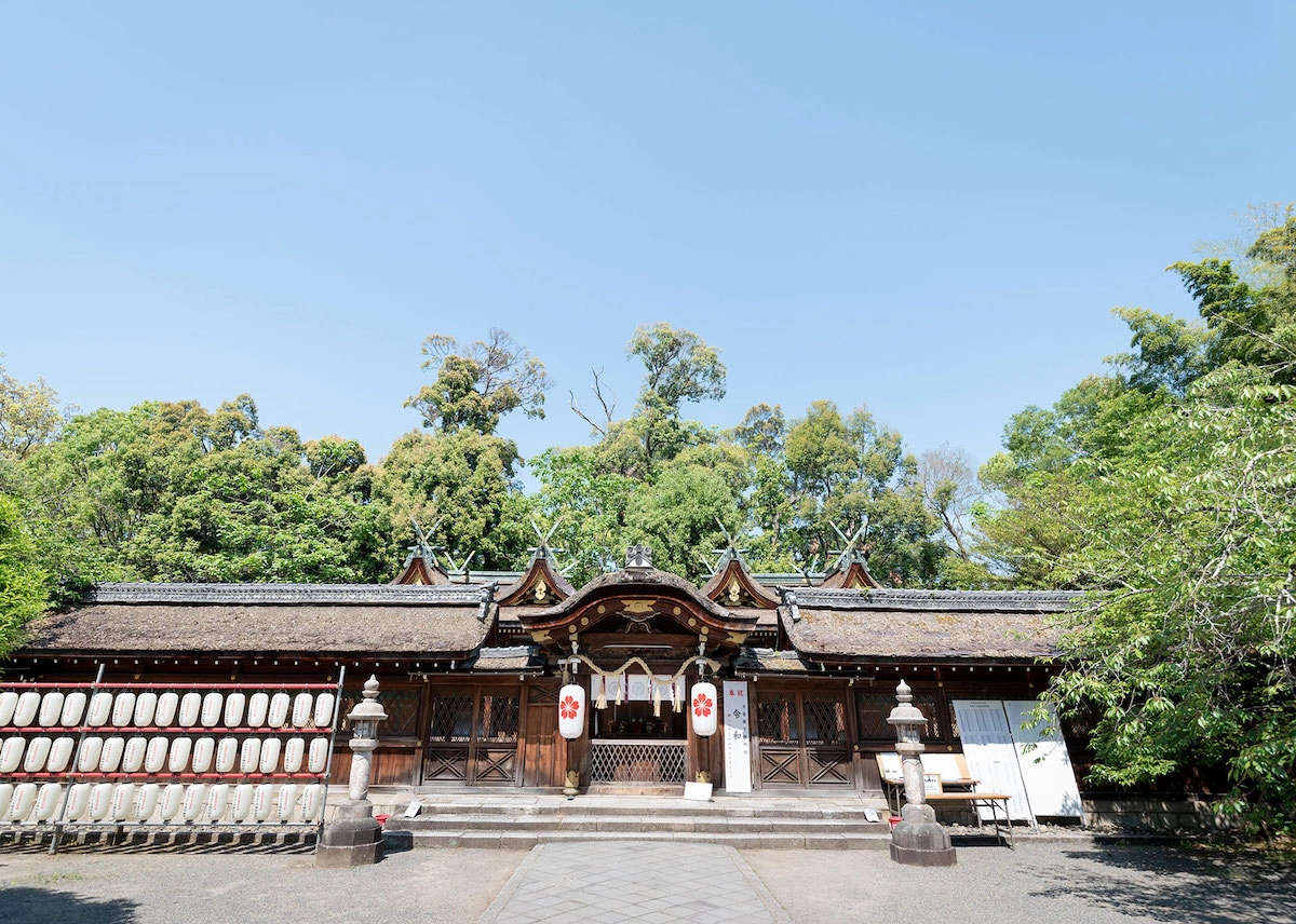 平野神社のメイン画像