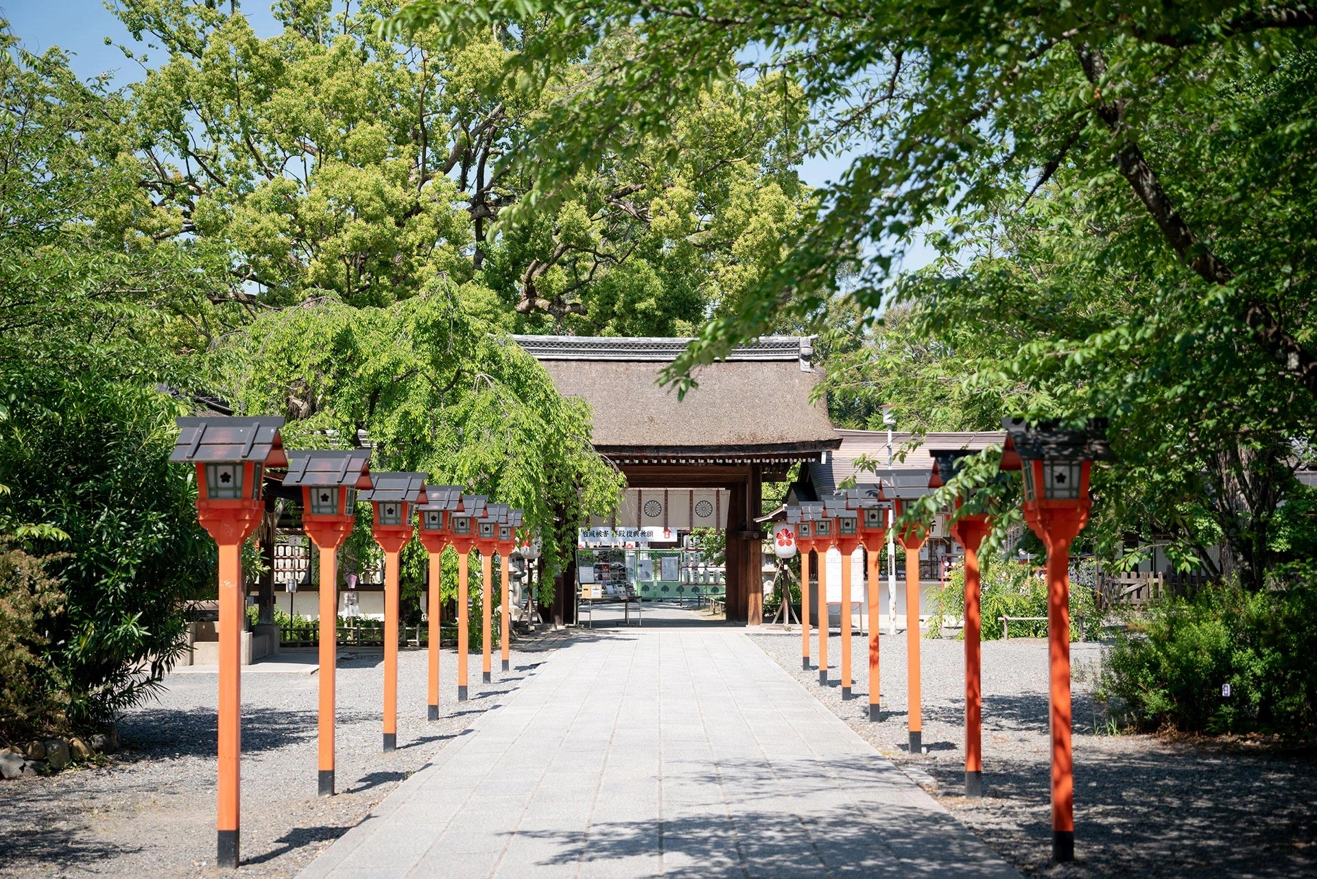 桜の神紋を持つ格式高い名社での挙式