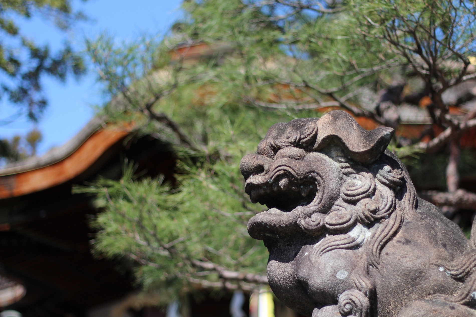 大将軍八神社 サムネイル4