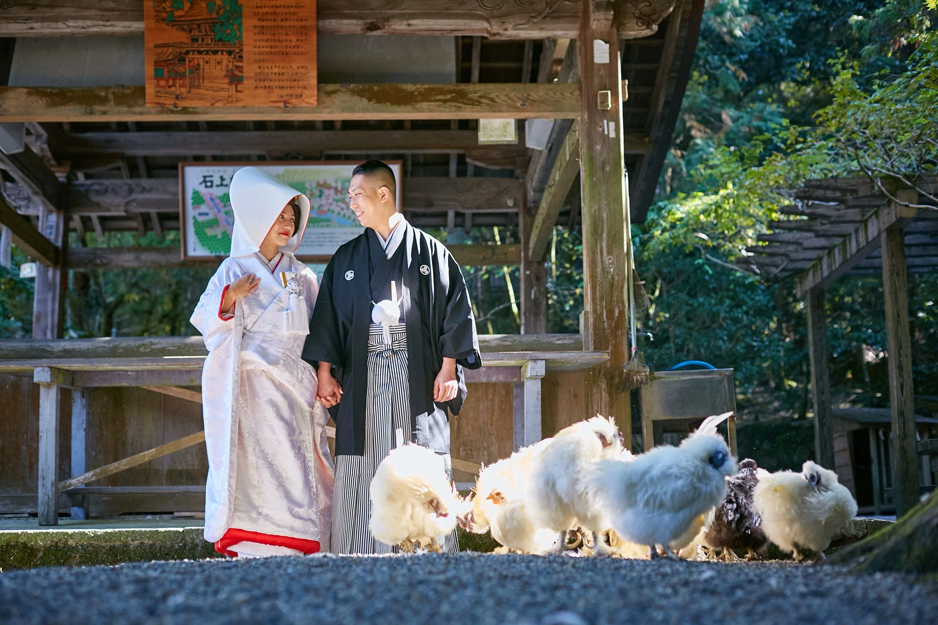 神聖な御神鶏が迎える由緒ある境内