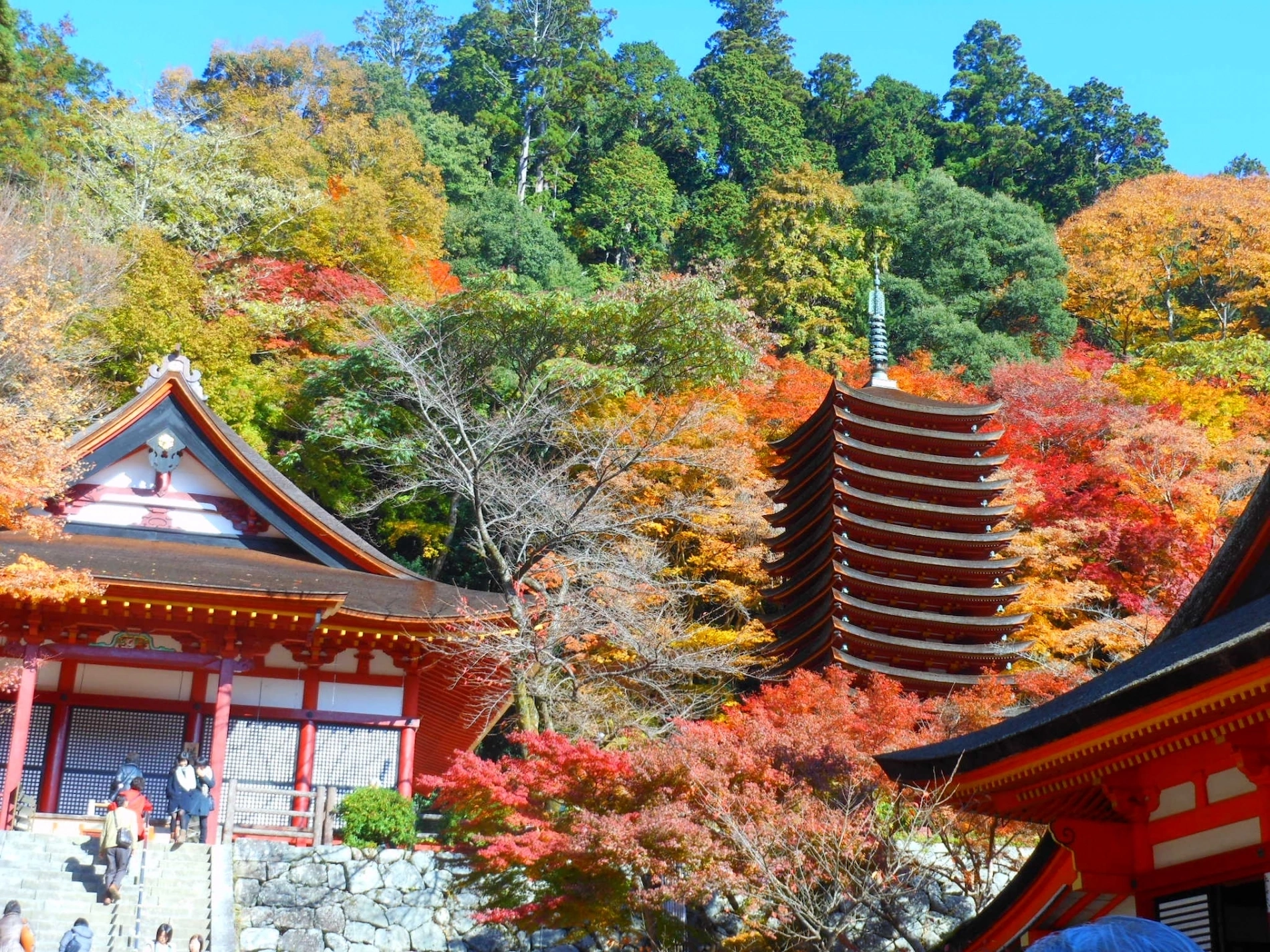 桜と紅葉が織りなす絶景の挙式場