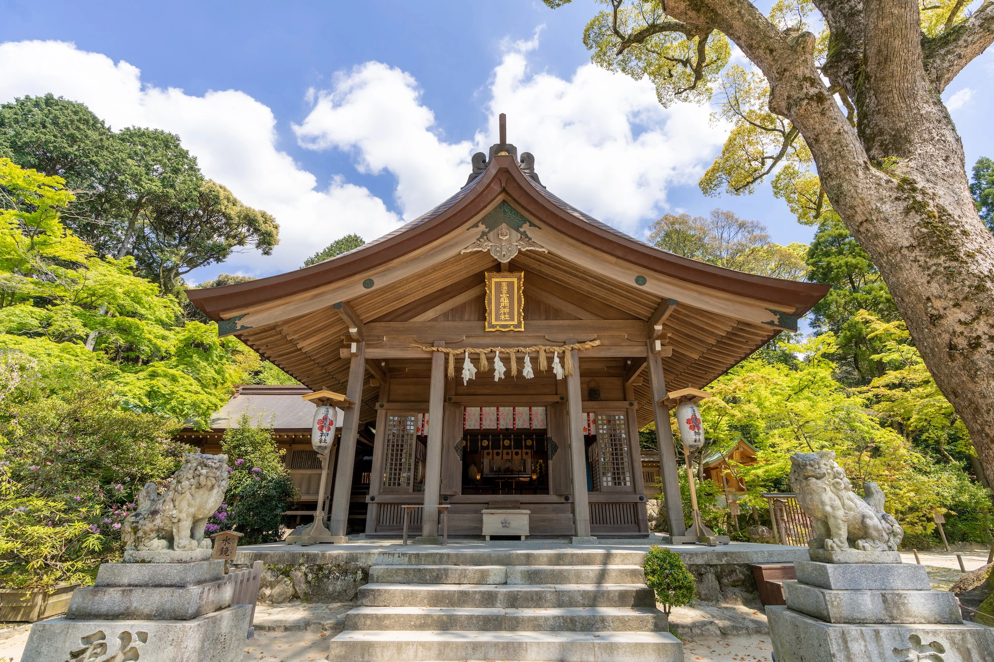 宝満宮 竈門神社のメイン画像