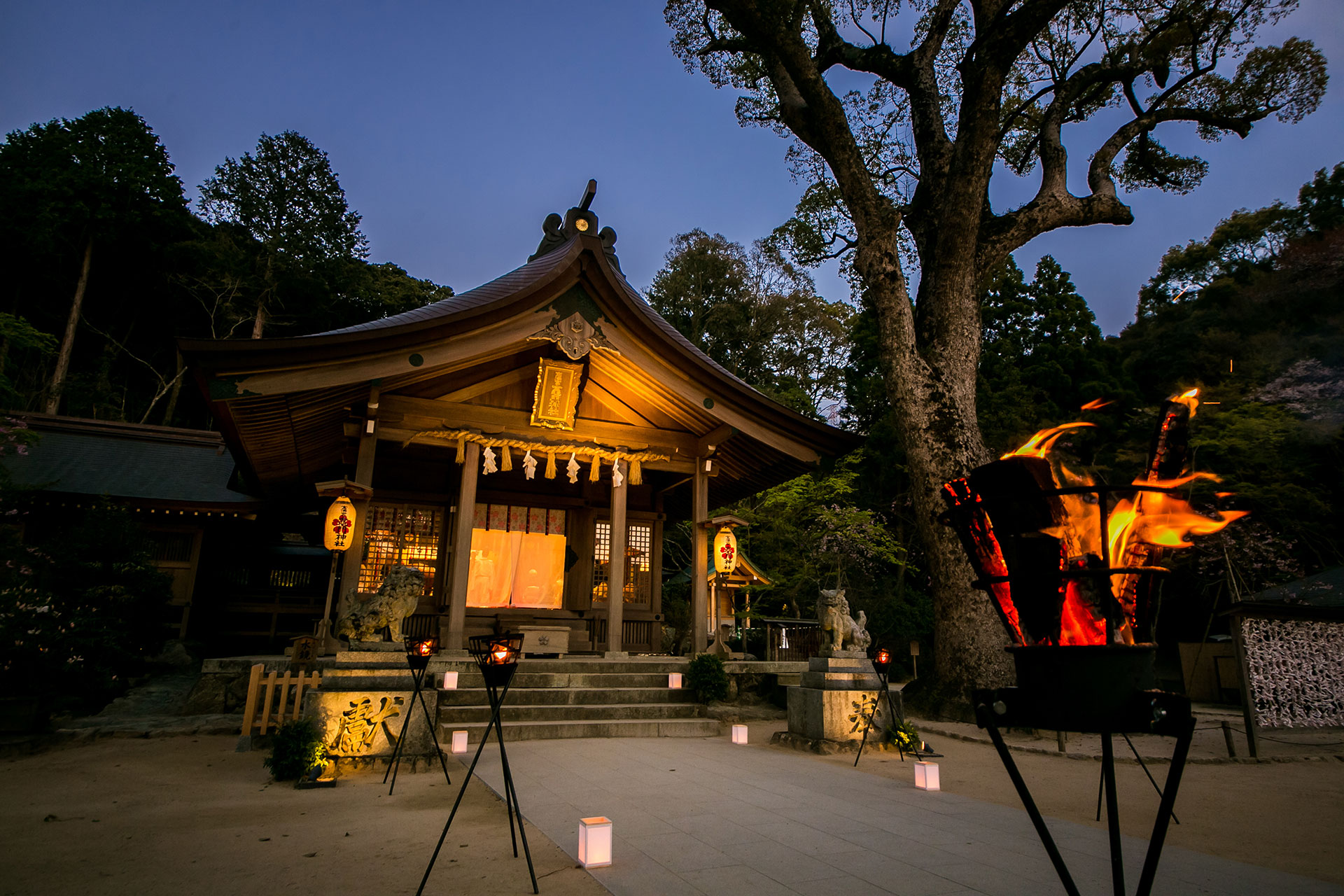 宝満宮 竈門神社のサブ画像4