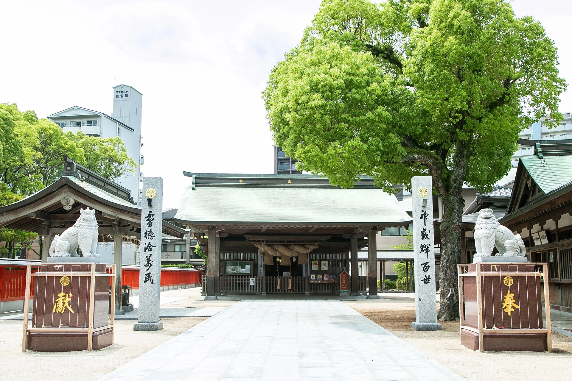 リーズナブルに叶える本格神前式