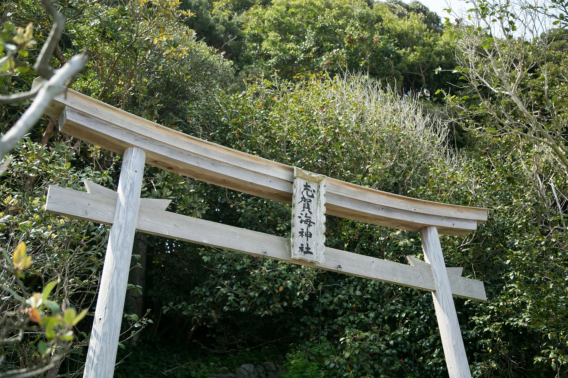 リーズナブルな初穂料で叶える挙式