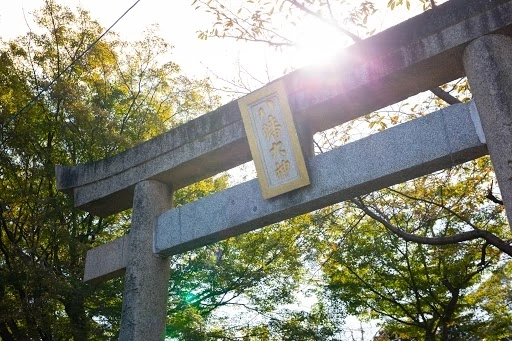 木のぬくもり感じる安産の神様の社