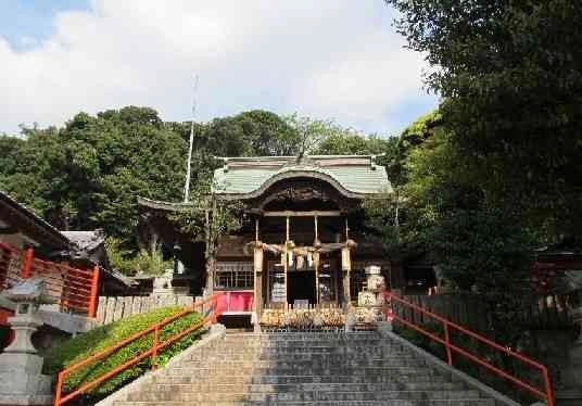 紐結いの儀で深まる絆の神前挙式