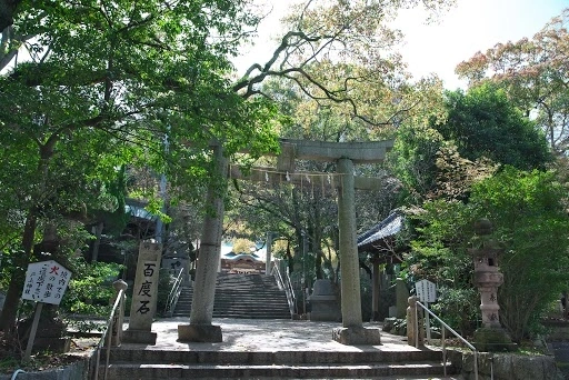 自然豊かな写真スポットが充実の神社
