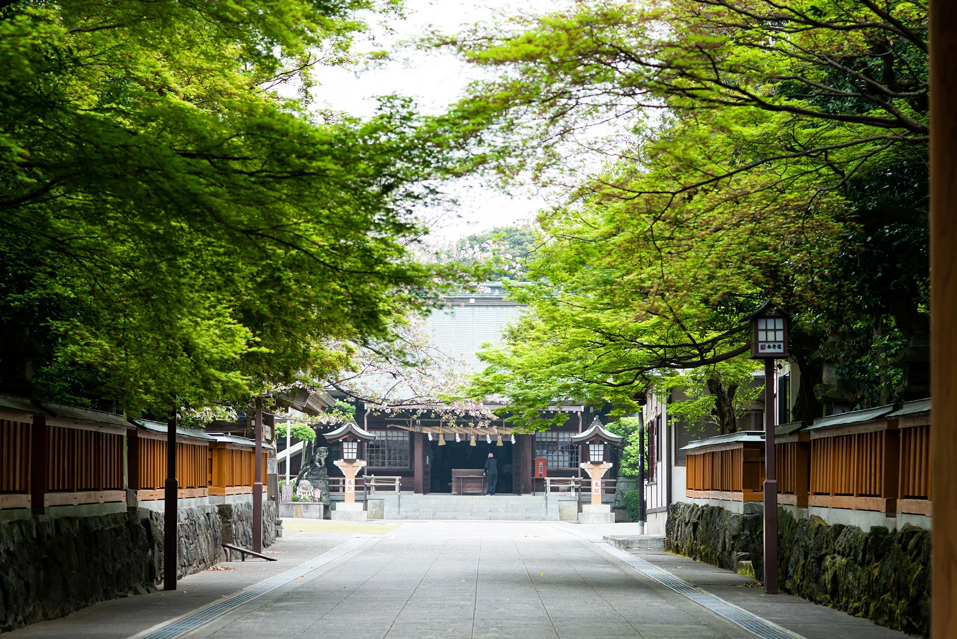 荘厳な竹林参道を抜けての神前式