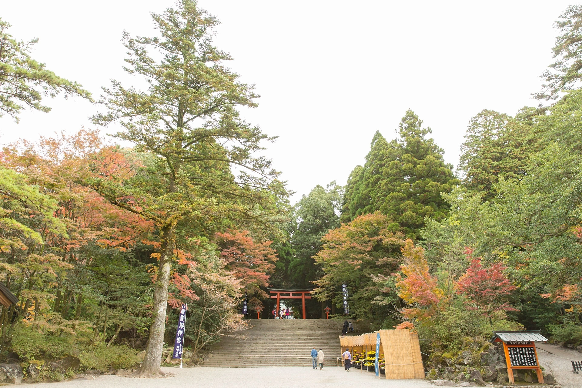 霊峰に抱かれた自然豊かな神宮式