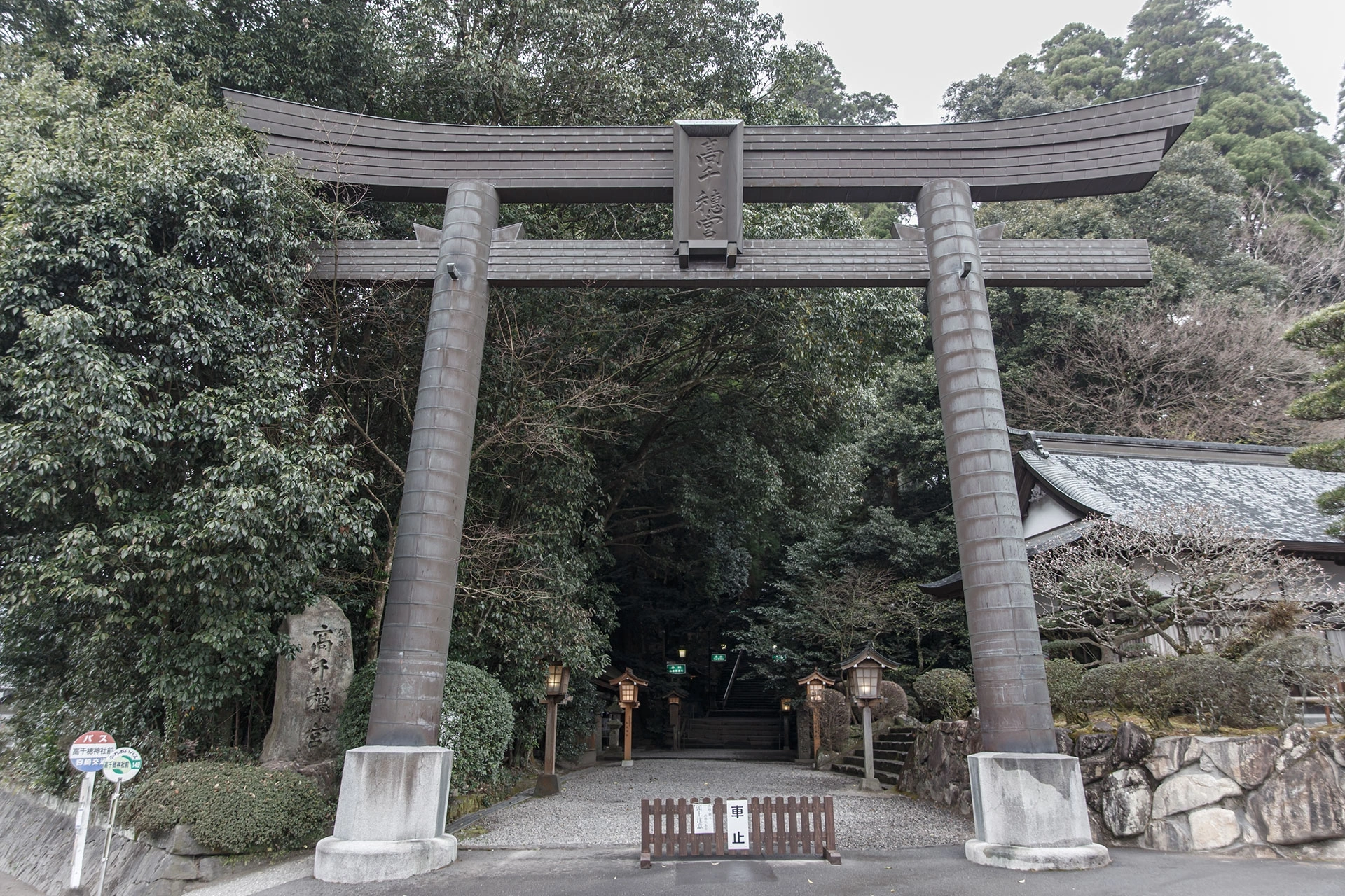 夫婦杉が見守る良縁の神前結婚式