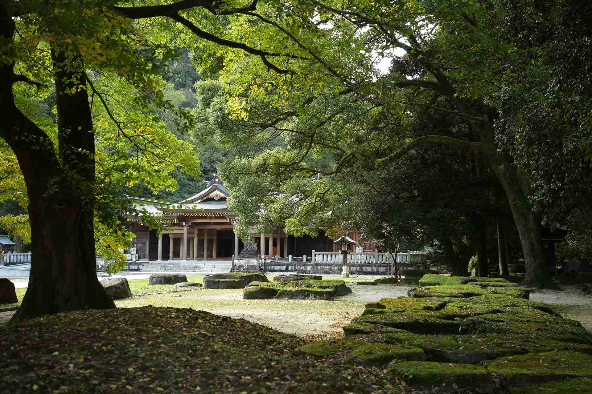 岐阜護国神社のサブ画像4