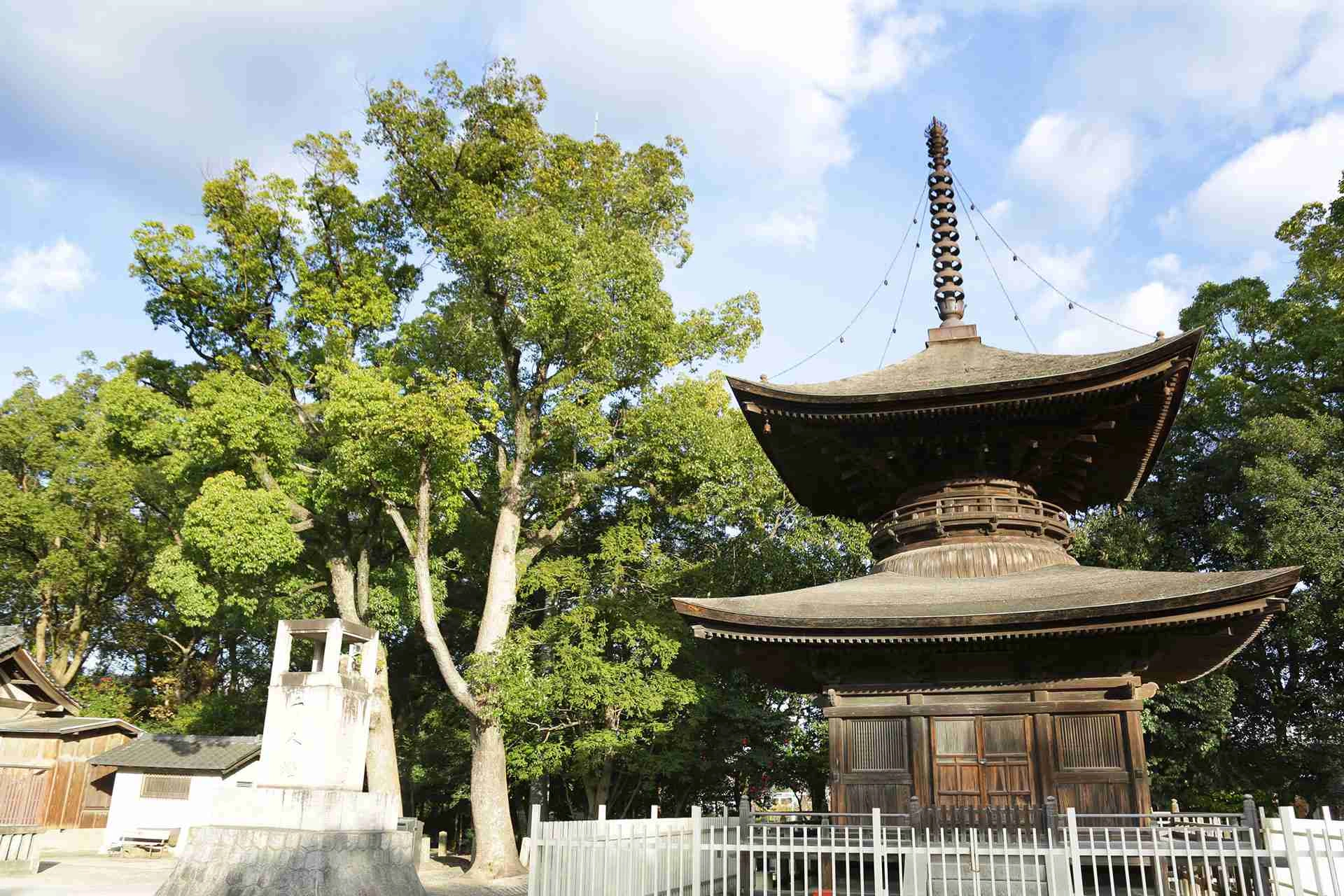 四季の表情が彩る写真映えの社