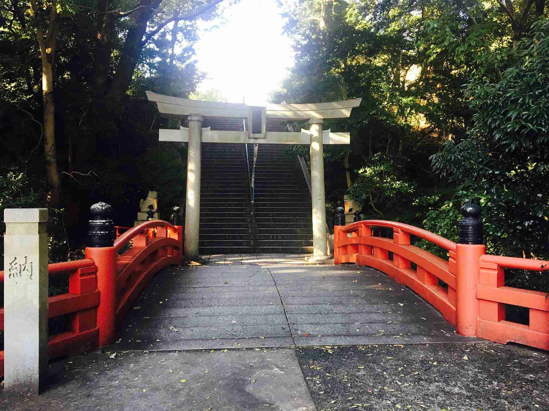 赤鳥居と連理木が魅せる神前式