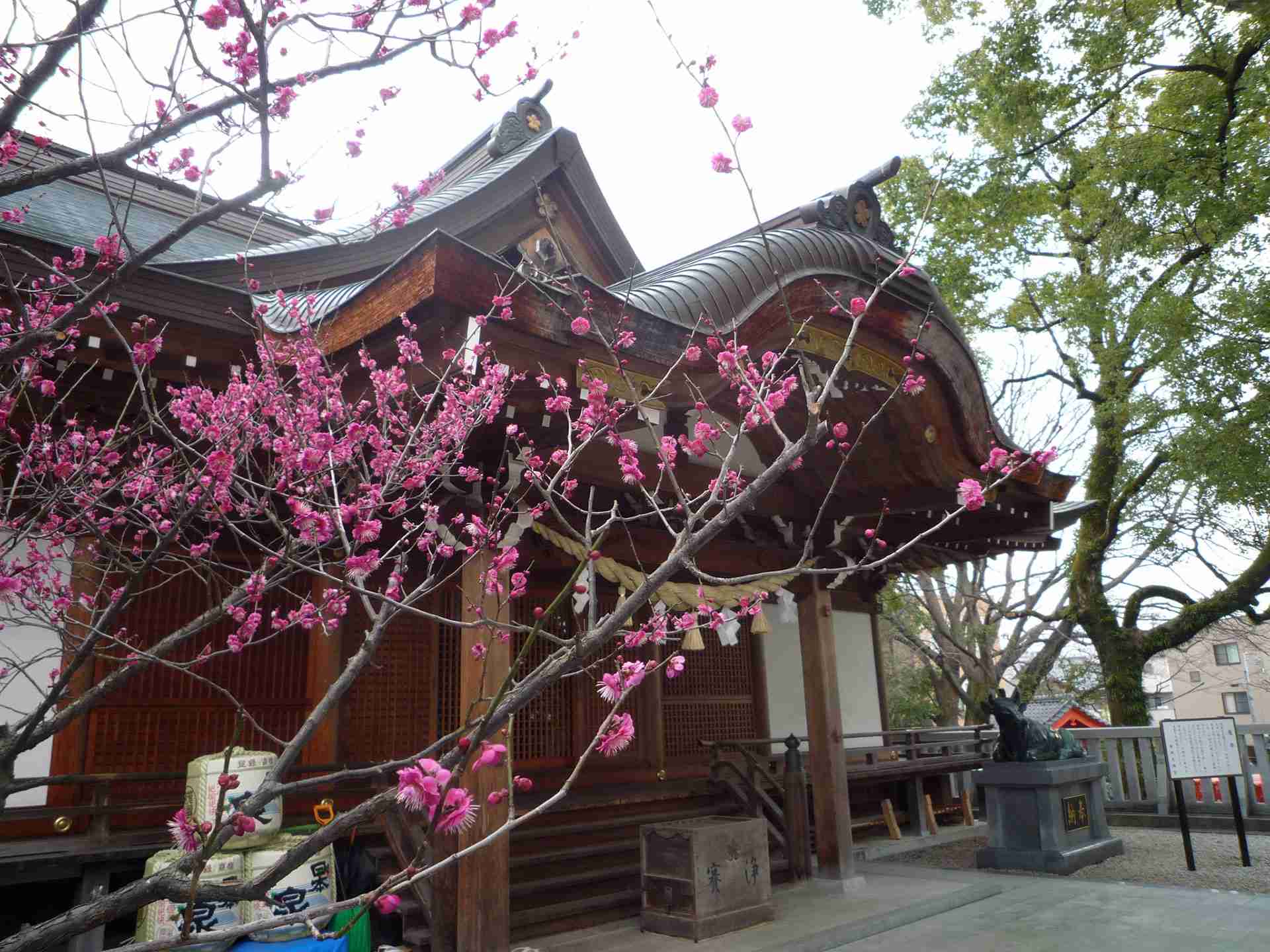 加納天満宮 サムネイル4