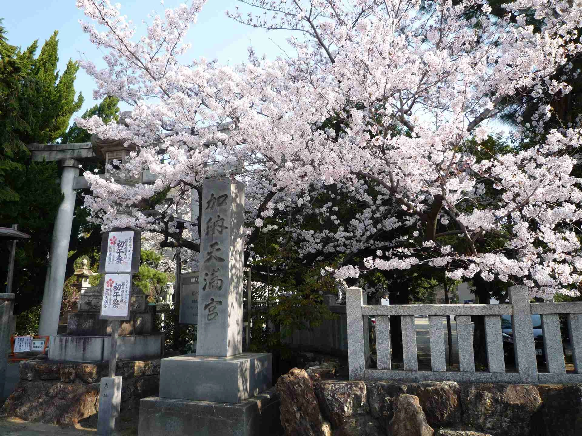 四季の花々に彩られた天満宮式