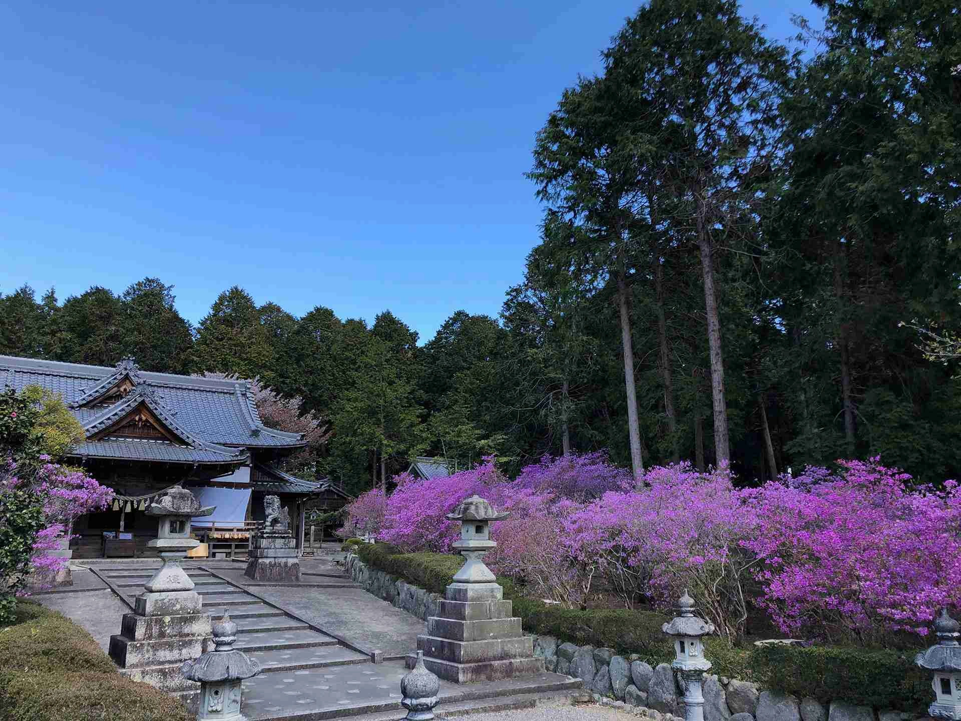伝統の獅子舞が祝福する神前式