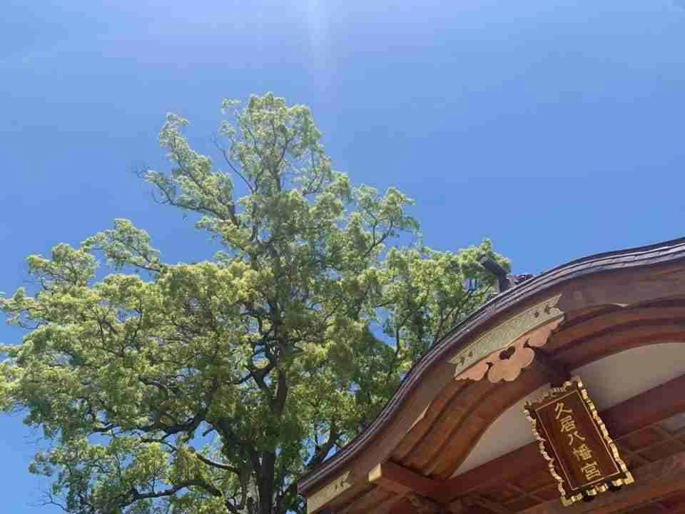 駅から徒歩7分の好アクセスの社