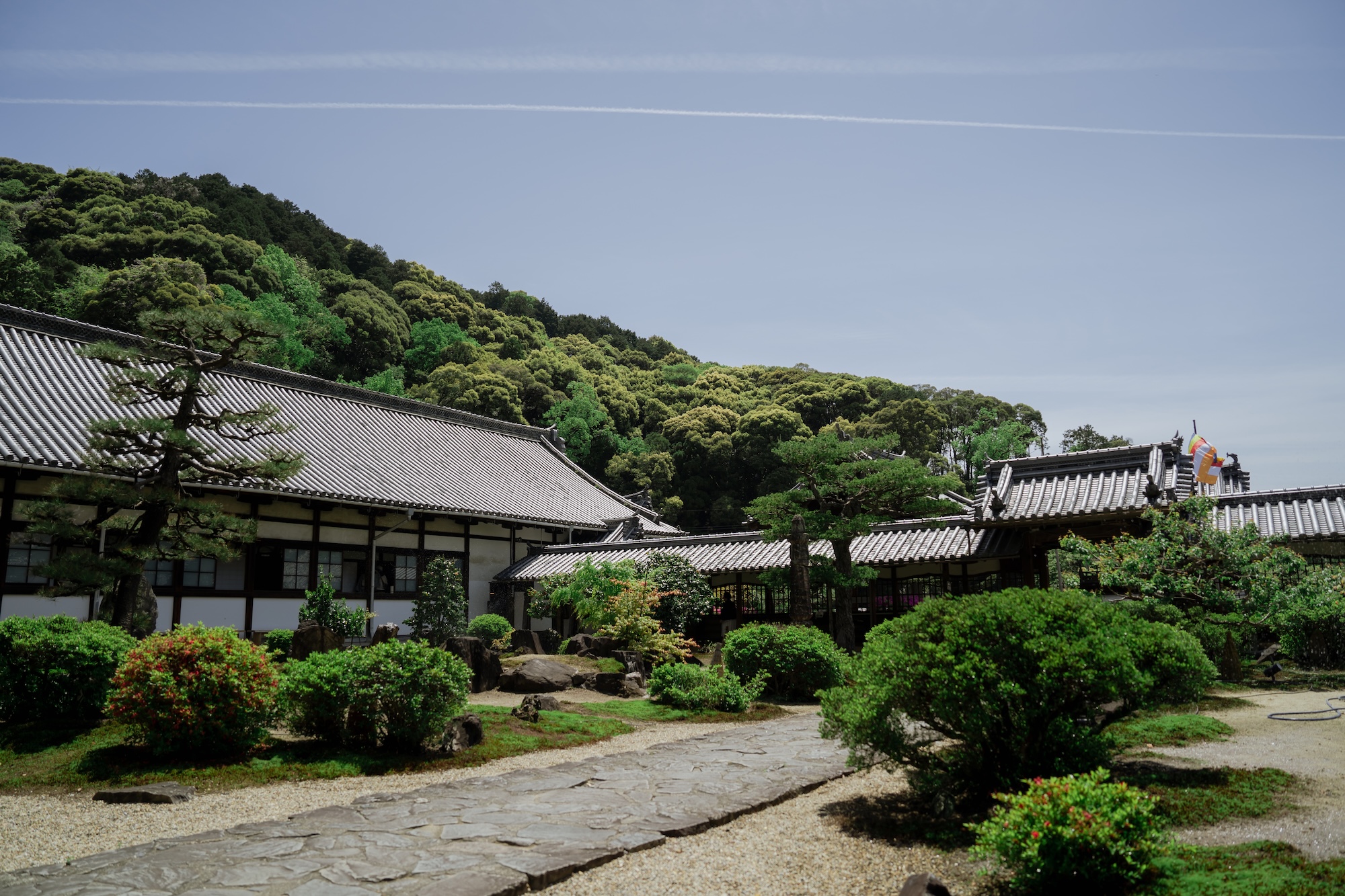 曹洞宗 仏徳山 興聖寺 サムネイル3