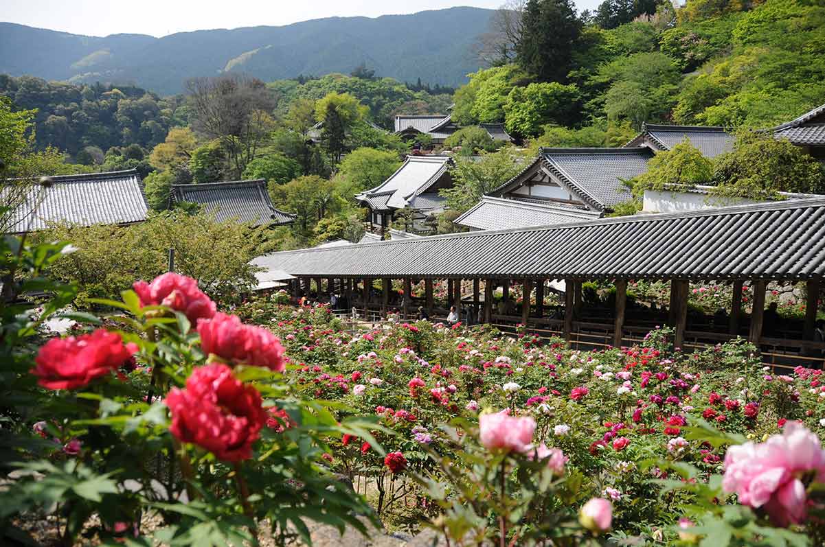 大和國 長谷寺