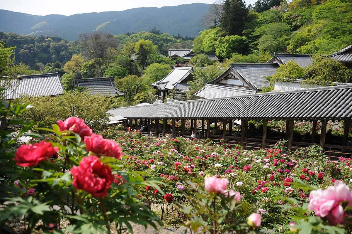四季の花々が彩る前撮りの名所