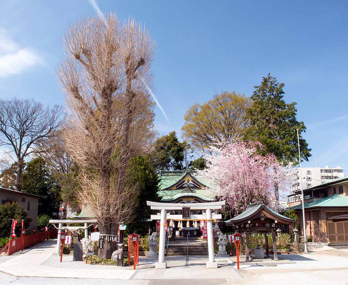 川越八幡宮のメイン画像