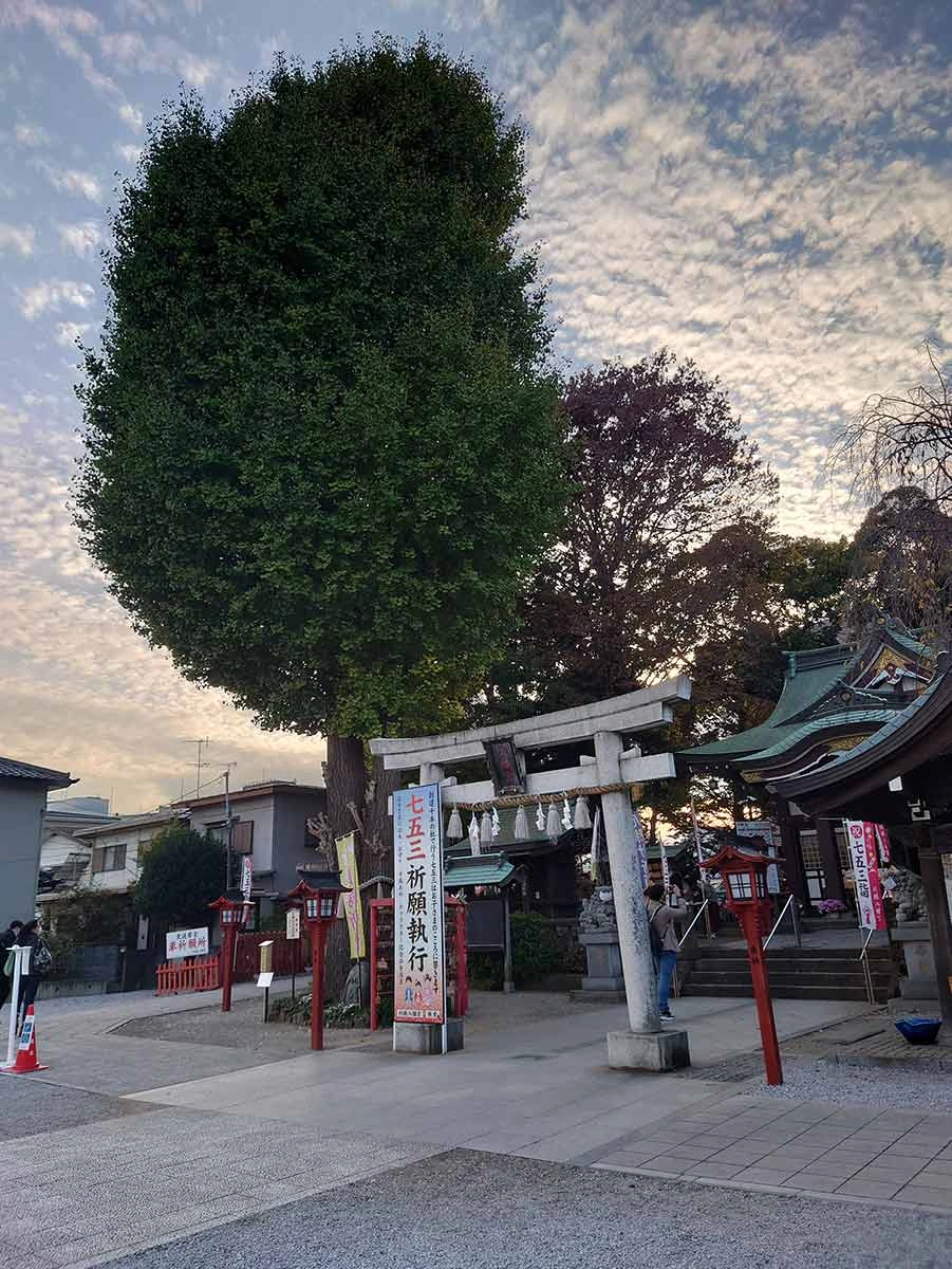 夫婦イチョウが見守る千年の神社