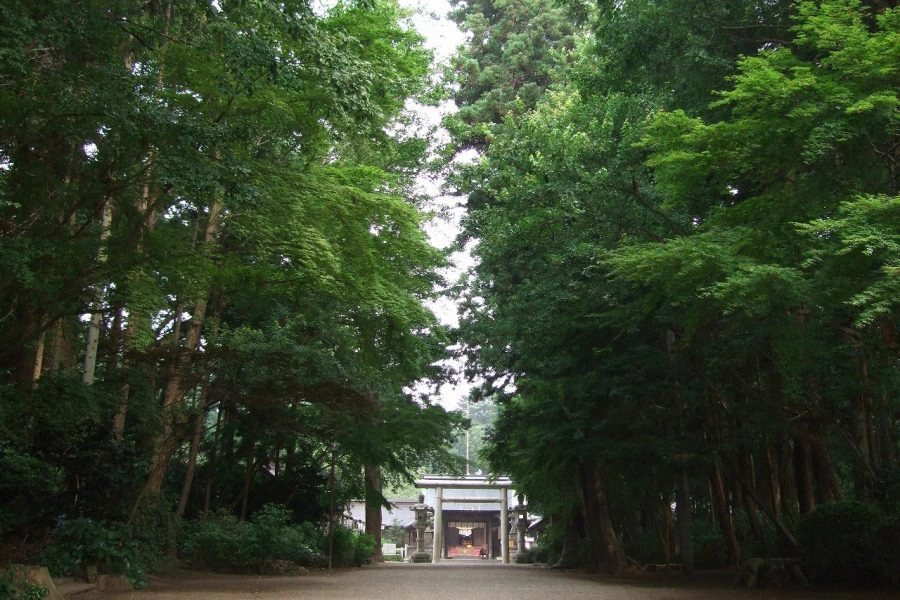 写真映えする文化財の随神門がある社