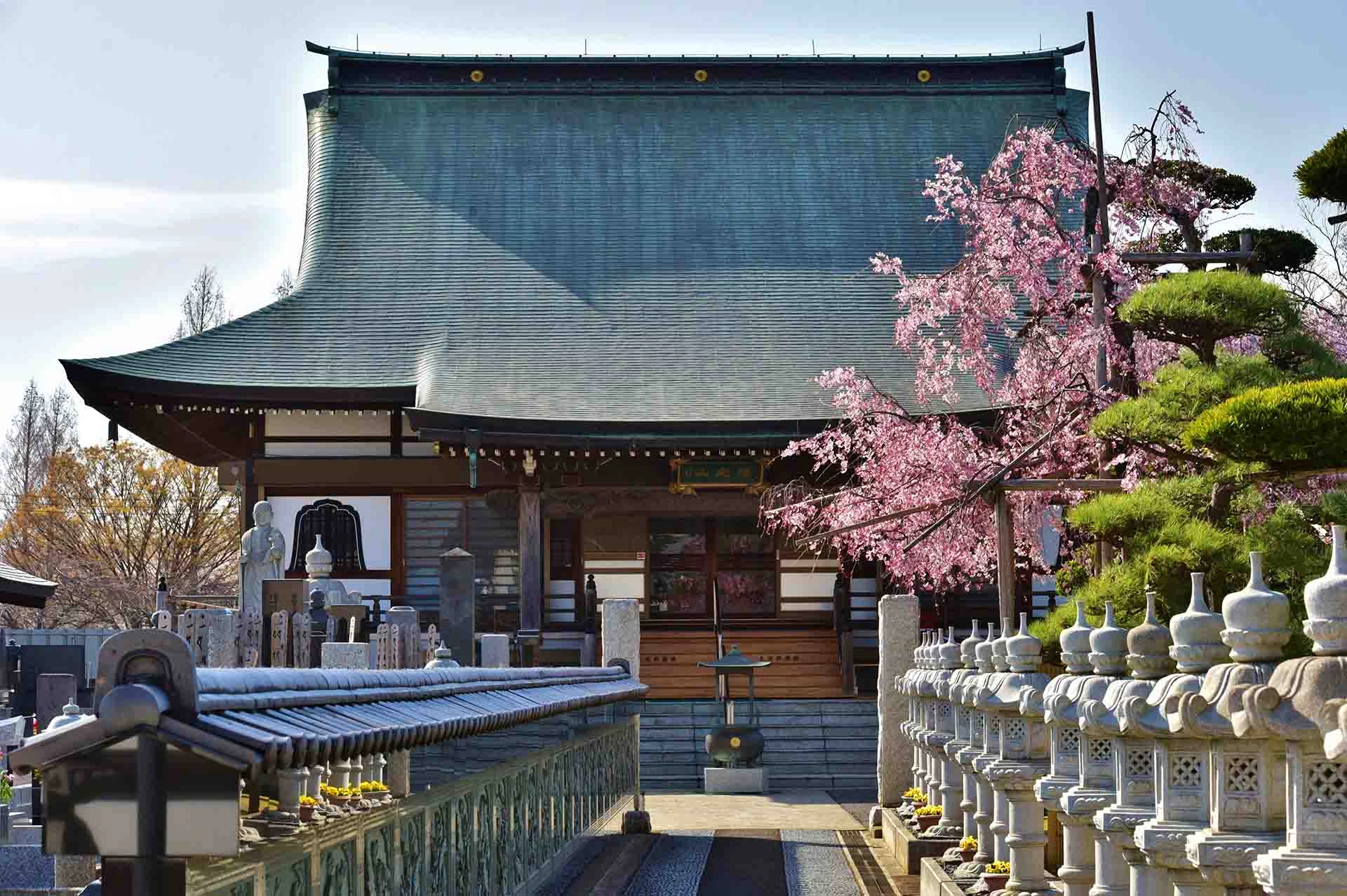 瑶光山 最明寺のメイン画像