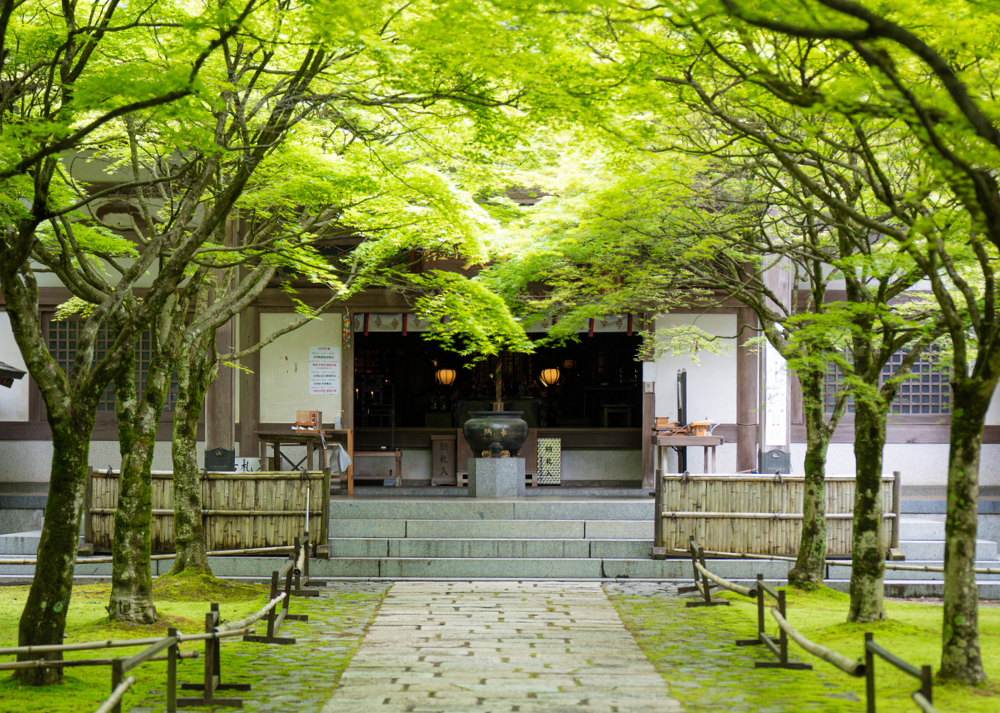 高野山 真言宗別格本山 呑山観音寺