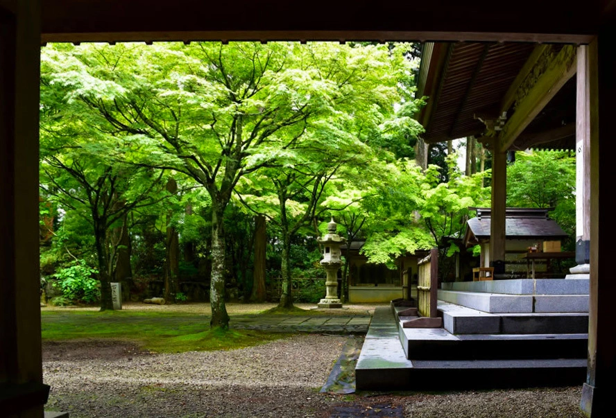 高野山 真言宗別格本山 呑山観音寺のサブ画像3