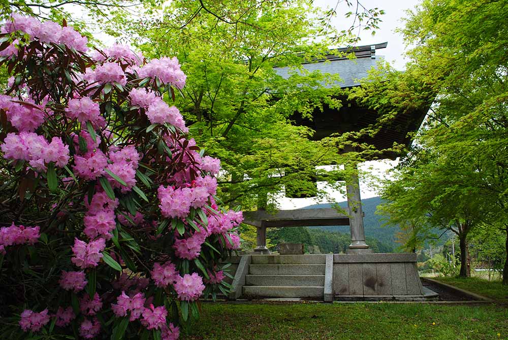 高野山 真言宗別格本山 呑山観音寺 サムネイル4
